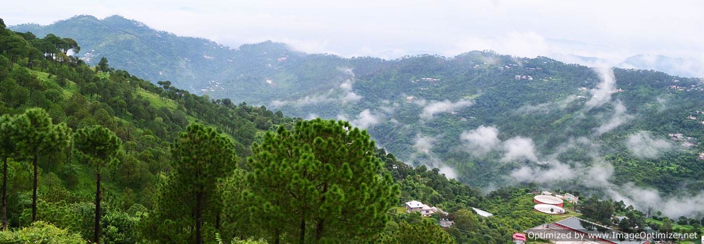 Delhi to Kasauli Tour by Tempo Traveller